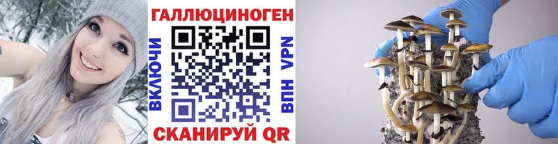 мега рабочий сайт  Чкаловск  Галлюциногенные грибы MAGIC MUSHROOMS  купить  